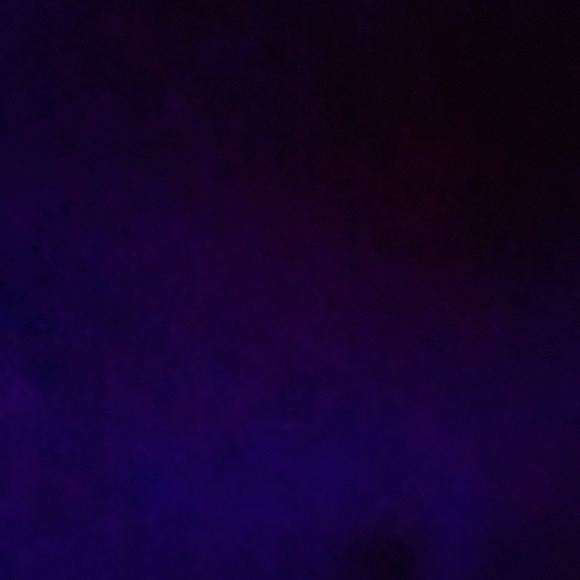 Meet your Posher, Kenzie - Picture 1 of 1